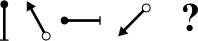 প্রশ্নের চিত্র